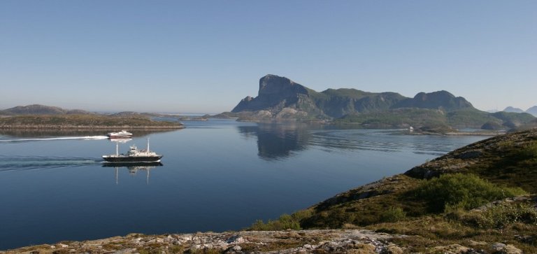 Rødøyløvab.jpg