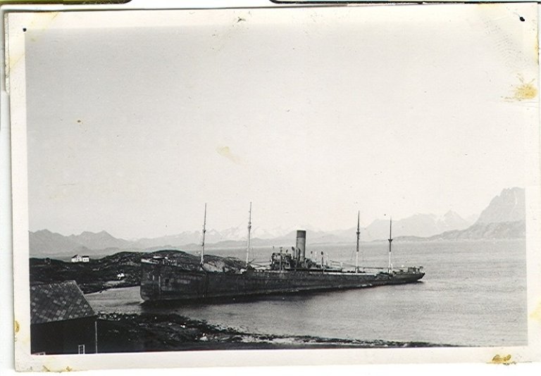 Vika 9.jpg