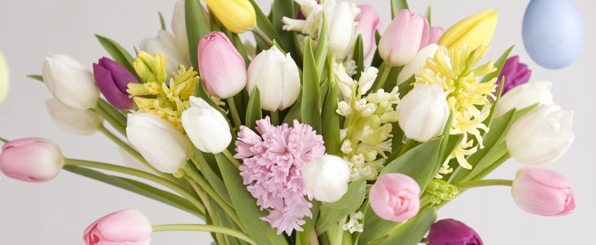 Påskeblomstx